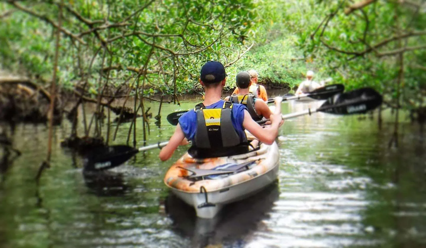Kayaking and Paddleboarding at the Caloosahatchee River