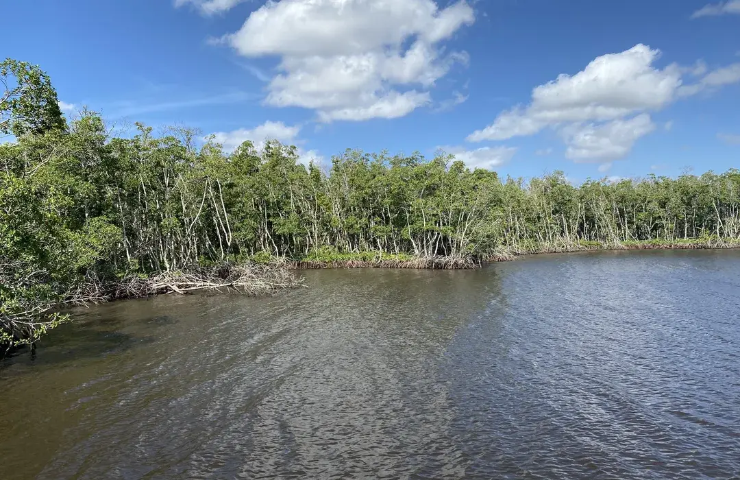Four Mile Cove Ecological Preserve